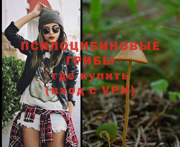 ПСИЛОЦИБИНОВЫЕ ГРИБЫ Абаза